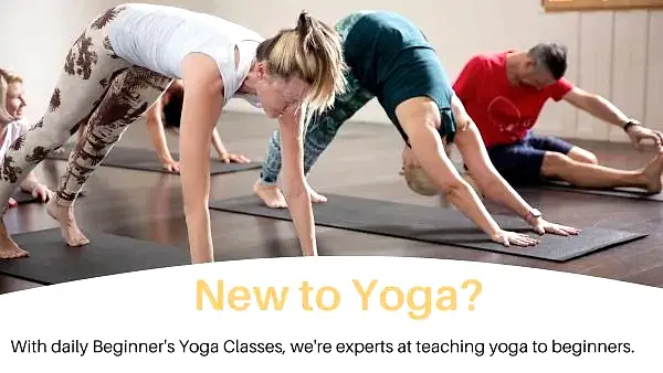 Beginner’s Yoga Brisbane Beginner's Yoga Brisbane